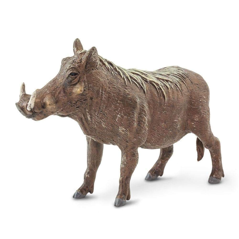 Safari, Toys & Figurines, Gifts, 641221, Warthog